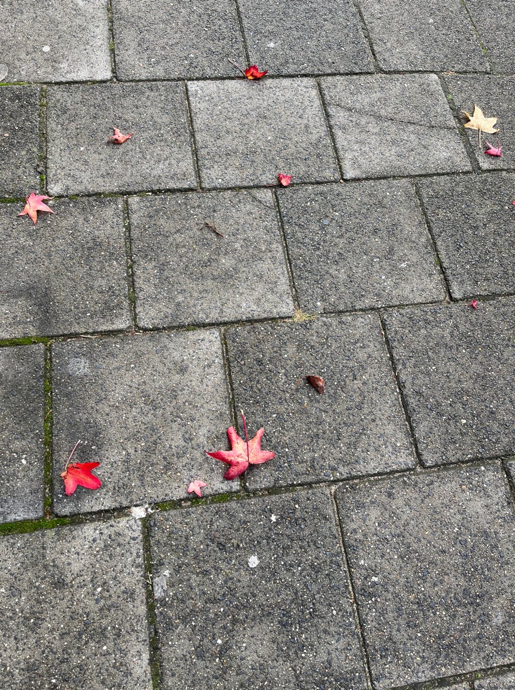 the time of&nbsp;poetry